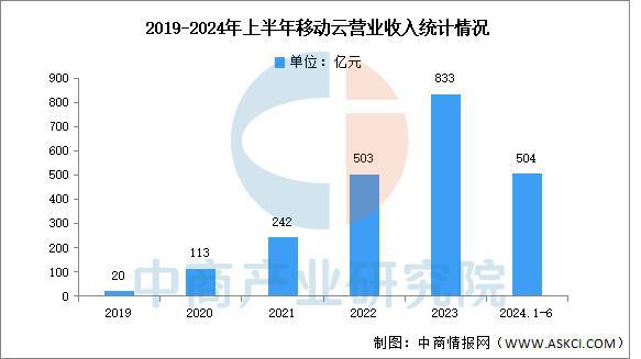 2025年中国云计算行业市场前景预测研究(图13)