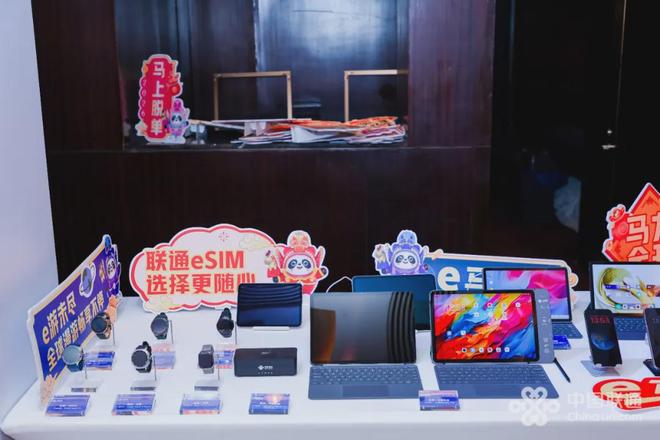 思享卢丽敏:eSIM改变了什么?(图4)